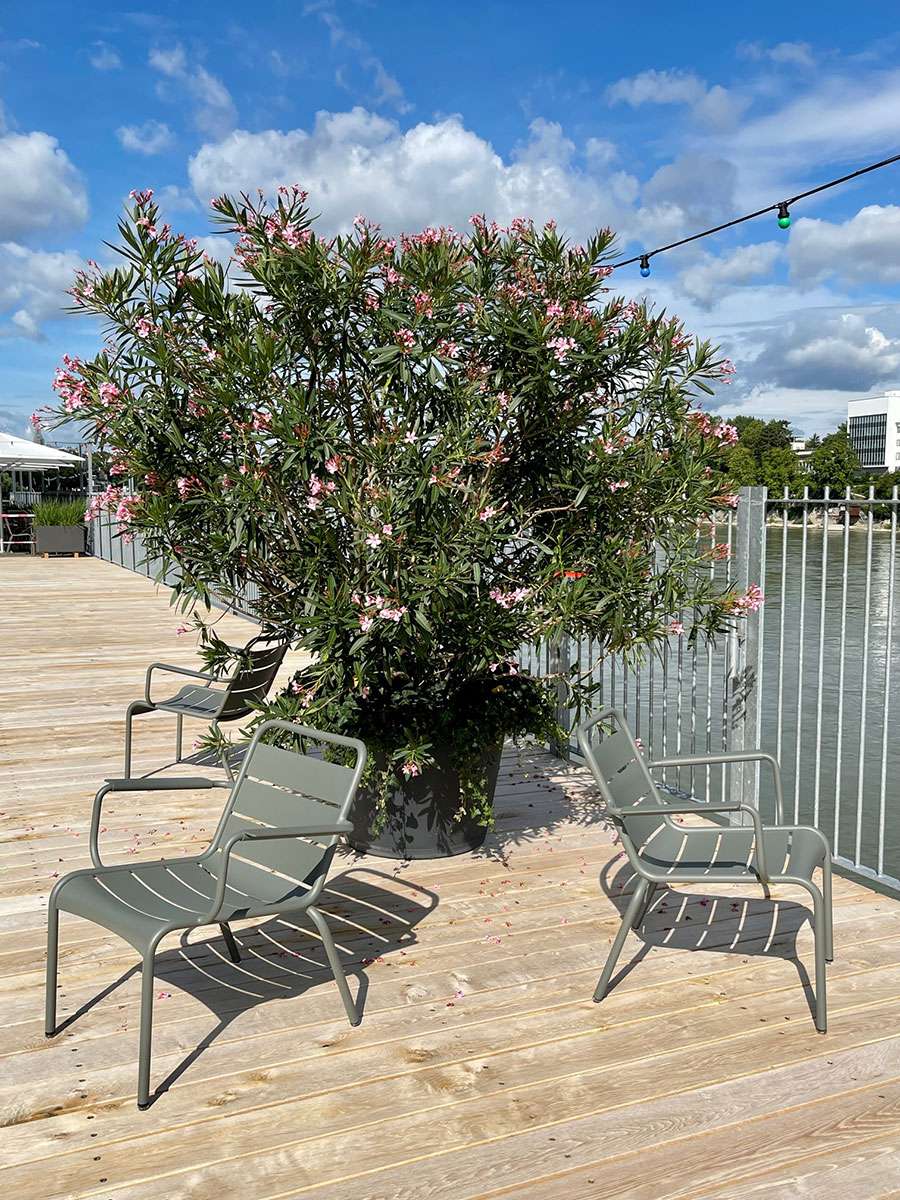 Luxembourg Lounge Sessel von Fermob in der Sonne auf der Terrasse des Rheinbad Breite