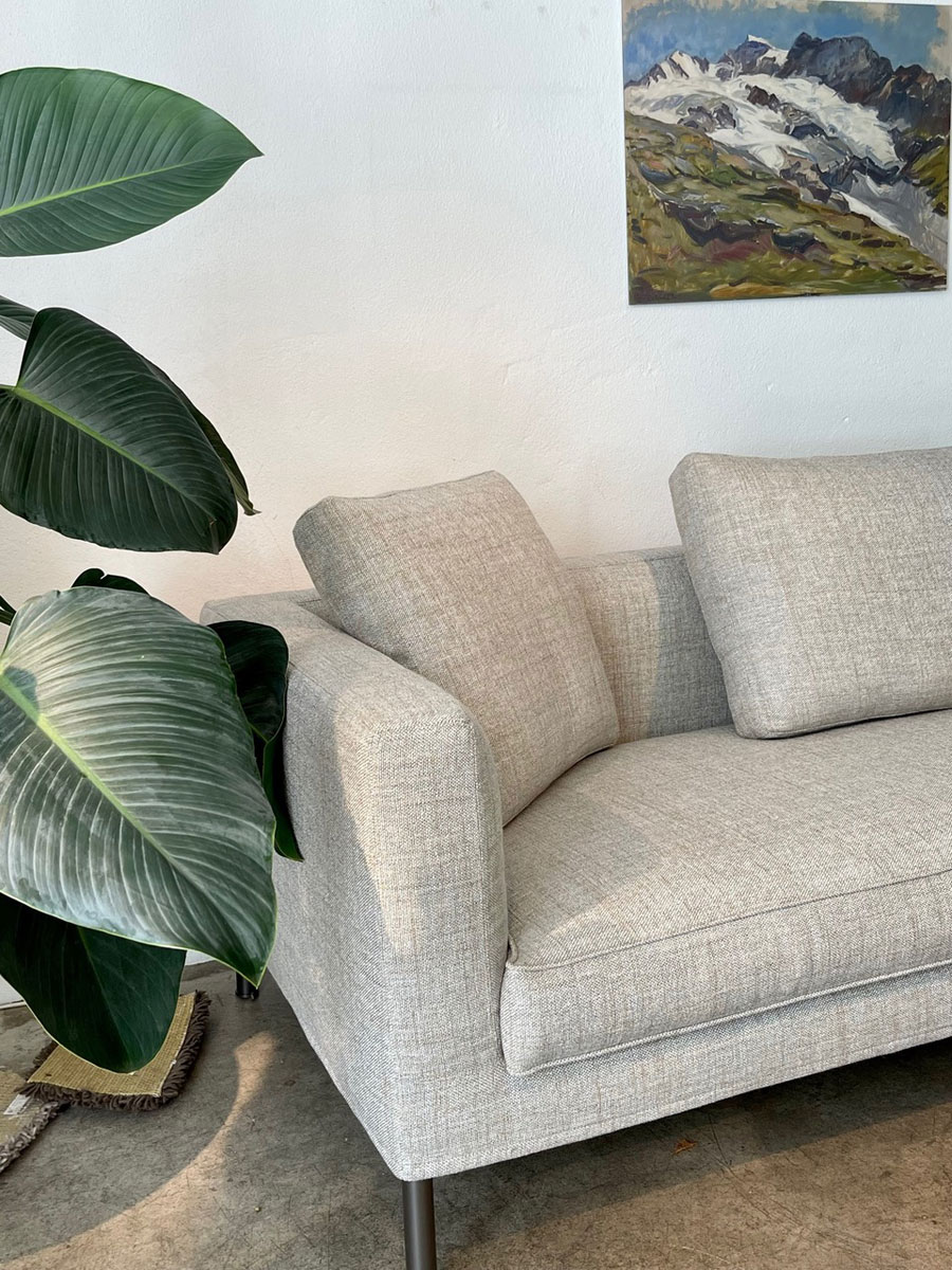 Teilansicht des Tiziano Sofas, mit angeschnittener Pflanze auf der linken Seite.